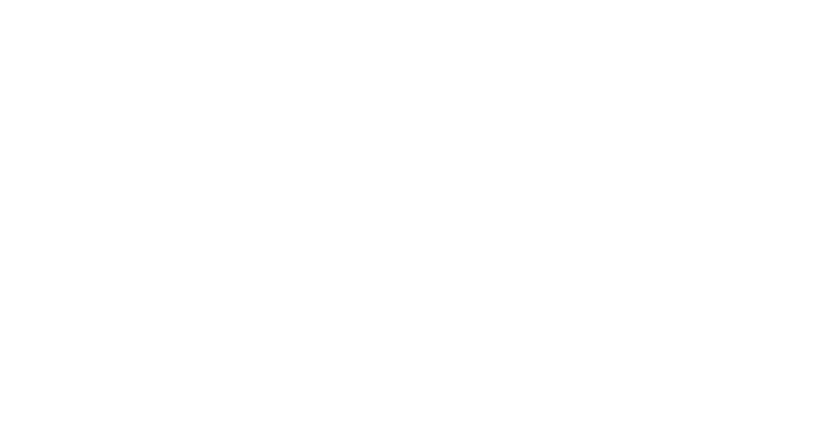 Wizard Screen Solutions Logo